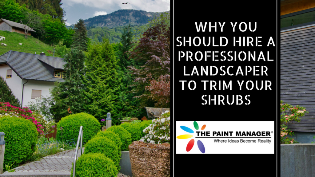Why You Should Hire a Professional Landscaper to Trim Your Shrubs
