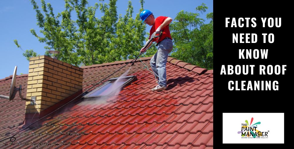 Facts You Need To Know About Roof Cleaning