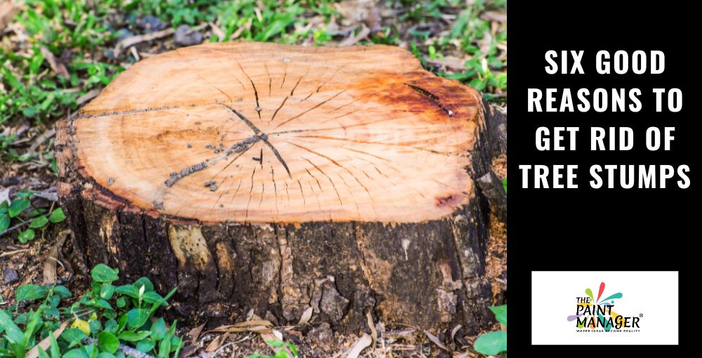Six Good Reasons to Get Rid of Tree Stumps